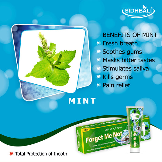 Forget Me Not Total Protection Toothpaste – Triple Refreshing Formula with Neem, Clove & Mint | Deep Cleaning | Kills Germs | Reduces Plaque & Tartar | Prevents Cavities & Gum Inflammation | 200g Each I Pack of 4