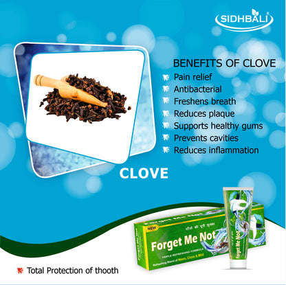 Forget Me Not Total Protection Toothpaste – Triple Refreshing Formula with Neem, Clove & Mint | Whitening | Gum Care I Kills Germs | Reduces Plaque & Tartar | Prevents Cavities & Gum Inflammation | 200g Each I Pack of 3