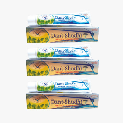 Sidhbali Dant Shuddhi Complete Oral Care Anti-Fungal Formula 100% Natural Ingredient Toothpaste (100 g, Pack of 3)